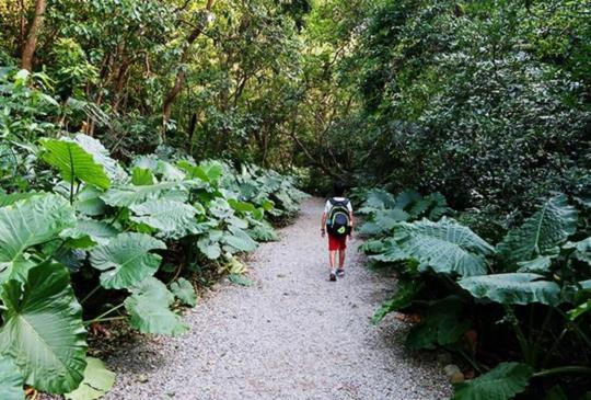 【台北】市中心的桃花源秘境：富陽生態公園