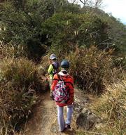 【苗栗】登上台灣版富士山！走訪南庄加里山