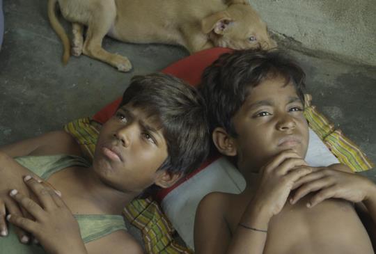 【《披薩的滋味》男主角上街賣狗 只因為劇組瀕臨破產？】