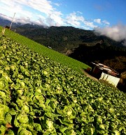 外國人愛上台灣的10個原因