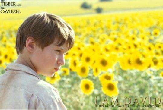 【《送信到哥本哈根》I am David－讓靈魂回歸初始】