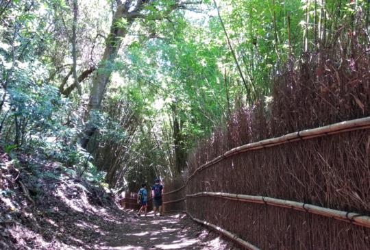 【台北。陽明山】秋日到，走步道～橫嶺古道環狀步道輕鬆健行去！