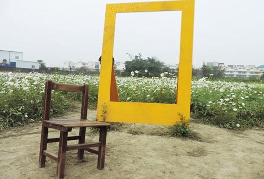 【彰化】茉莉花的故鄉 -三個花壇小景點