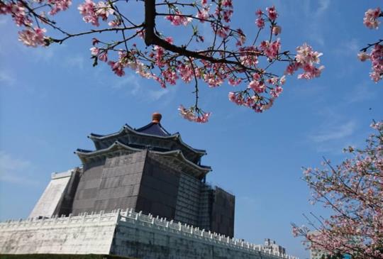 【鑼鼓連天慶豐年 熱鬧滾滾好踏春】假日「大台北」鐵路、捷運可到達的景點