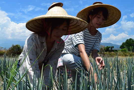 不只吃宜蘭三星蔥！4大在地食材手作體驗旅遊才夠夯