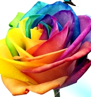 ViewSonic 投影機 100% 全面導入 SuperColor™ 超炫彩技術