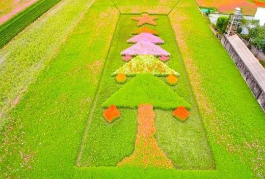 巨無霸聖誕樹超好拍！【2019桃園花彩節】大溪展區搶先開跑囉！加碼體驗文青風大溪老茶廠