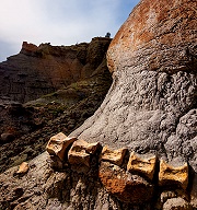 【國家地理雜誌】中文版2014年5月號篇章摘要