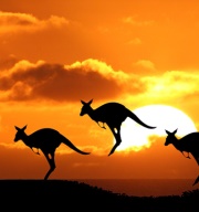 2015年澳洲打工遊學你必須注意的十件事