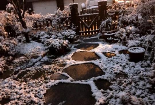 低溫急速凍台！北台灣鄉間小鎮輕鬆追雪趣
