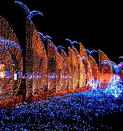 【2014】璀璨燈會慶元宵