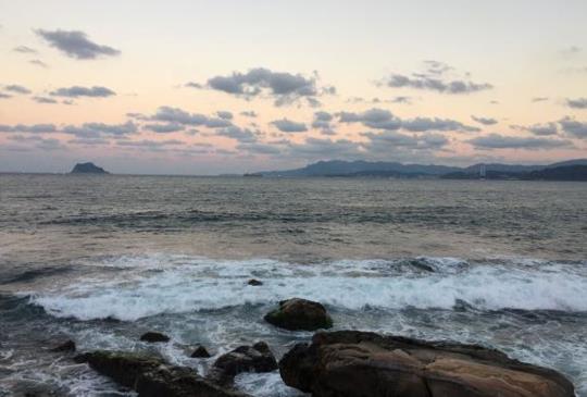 新北【萬里蟹】季開跑！北海岸看海吃蟹1日輕旅行推薦