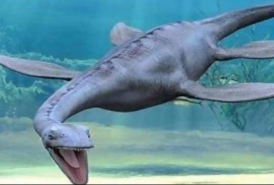 慶祝被發現 81 週年？！尼斯湖水怪躍上 Google Doodle