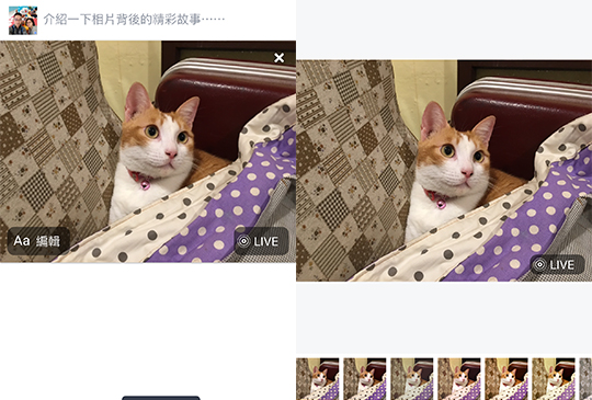 Facebook 支援 Live Photos 動態照片了，iPhone 用戶快試試看吧！