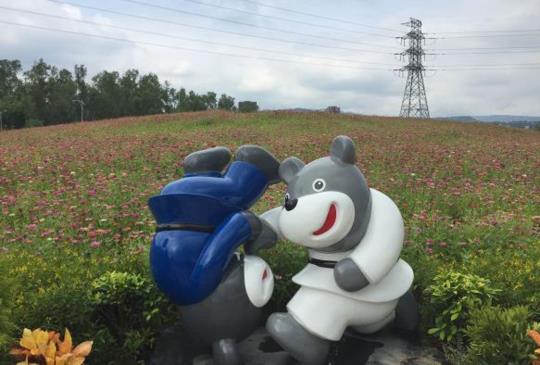 【2017 關渡花海節】驚艷關渡 花現新大地：台北市郊遊踏青新去處