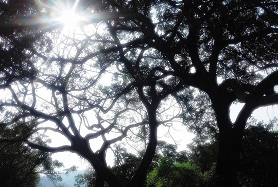 一登南港小百岳【更寮步道+森林小學】: 自在半日小旅行