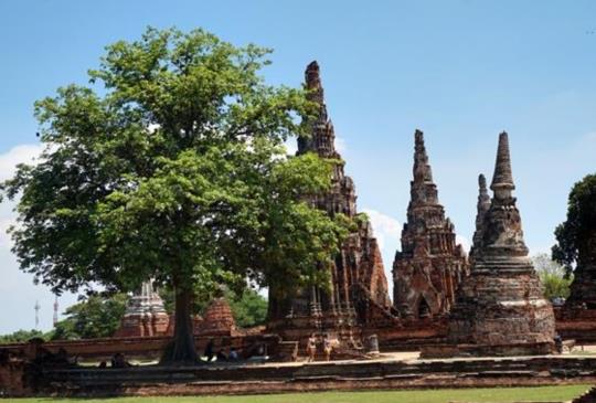 【泰國】搭嘟嘟車遊「大城」，看古蹟、吃大蝦