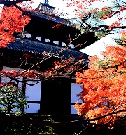 京都精選9大賞楓景點 深秋驚豔視覺之旅