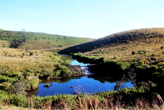 【斯里蘭卡】走到世界的盡頭-霍頓平原國家公園