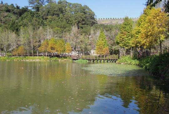 山城‧鐵道‧桃花源─檜木故鄉水里「車埕」