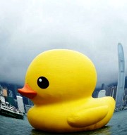 跟黃色小鴨去旅行之你也可以這樣拍小鴨