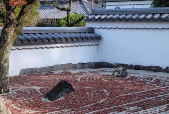 【日本福岡】秋旅行，追紅葉，看相撲，賞美景