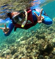 澳洲凱恩斯的10大必玩體驗