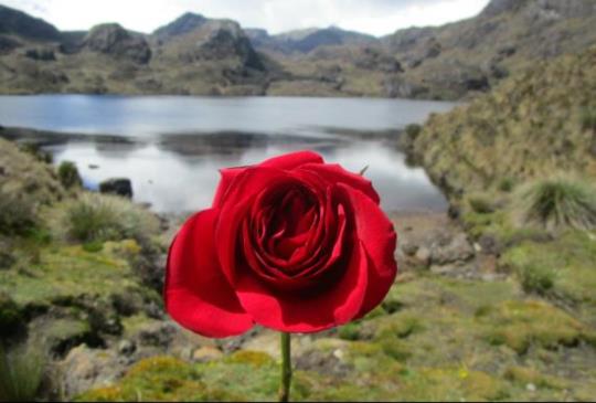 單身旅行者應當留意的「豔遇」迷思與陷阱！