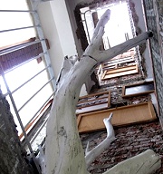 在地小旅行：新舊交織的城市【府城台南】