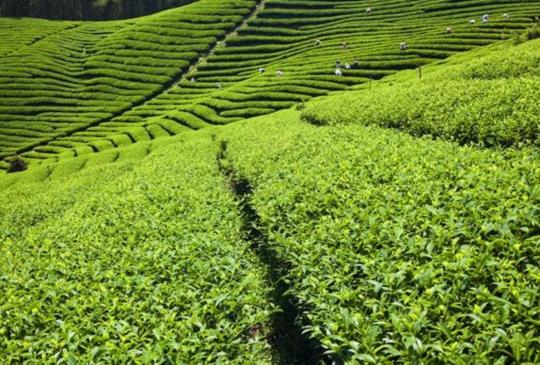 【山林輕旅行】上班族最紓壓旅遊計畫