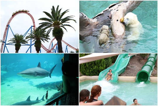 【澳洲】黃金海岸必玩四大樂園