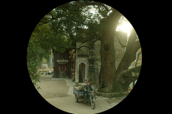 p15.jpg