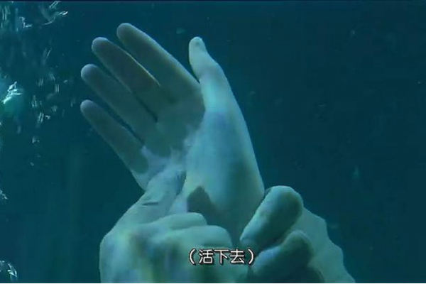ML1.jpg
