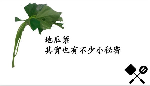 地瓜葉2.jpg