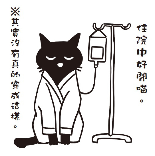 浪貓P77