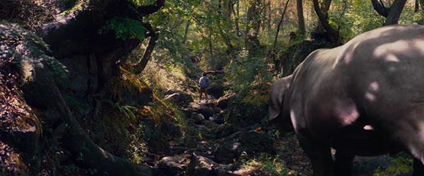 okja_2.jpg