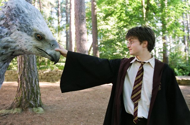 harry potter, imdb.jpg