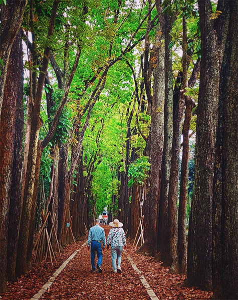 新威森林公園 - tienliao44.jpg
