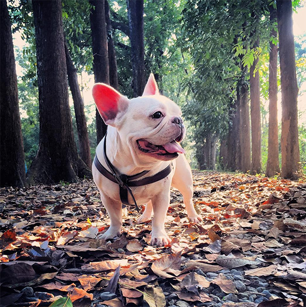 新威森林公園 - aazz0414.jpg