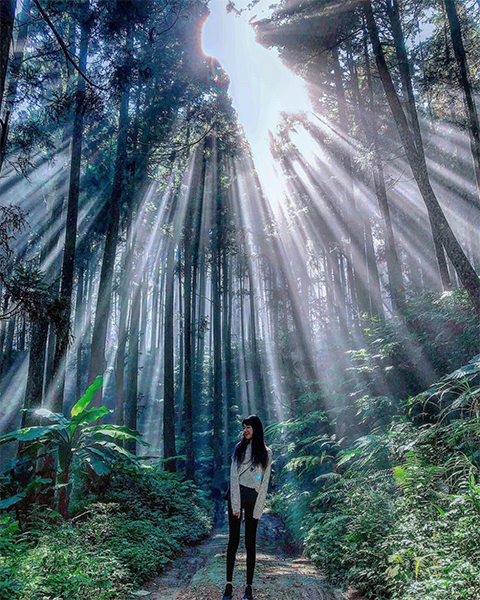 山上人家森林農場 - haveaniceeveryday.jpg