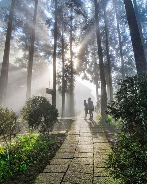 山上人家森林農場 - ortiz513.jpg