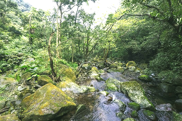 青山瀑布步道 - jennifer_turek.jpg