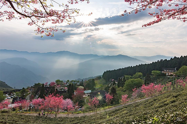 山上人家森林農場 - ray850413.jpg