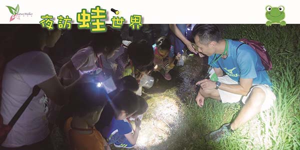 夜訪蛙世界.jpg