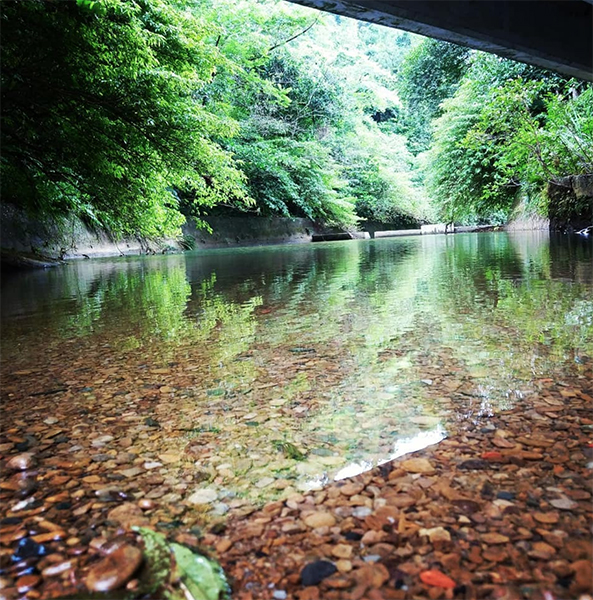 富民親水公園 - xieivan.jpg