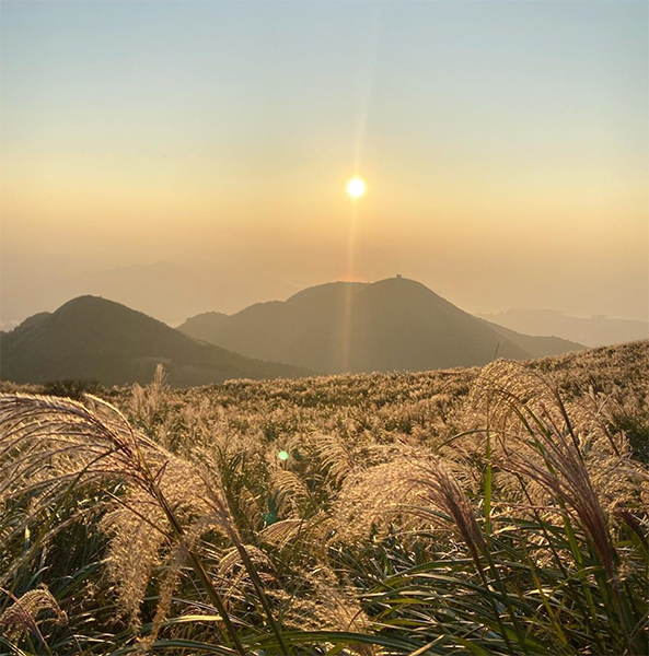 大屯山---77sdaily.jpg