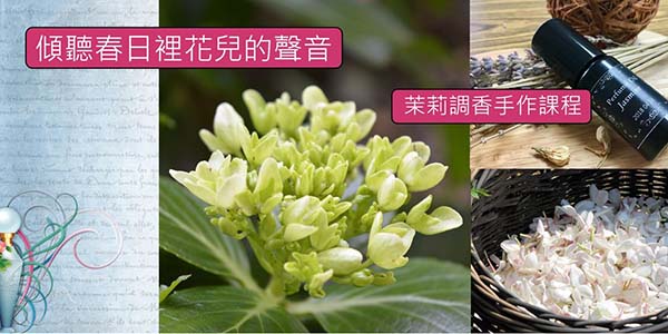 茉莉香氛油手作課程.jpg