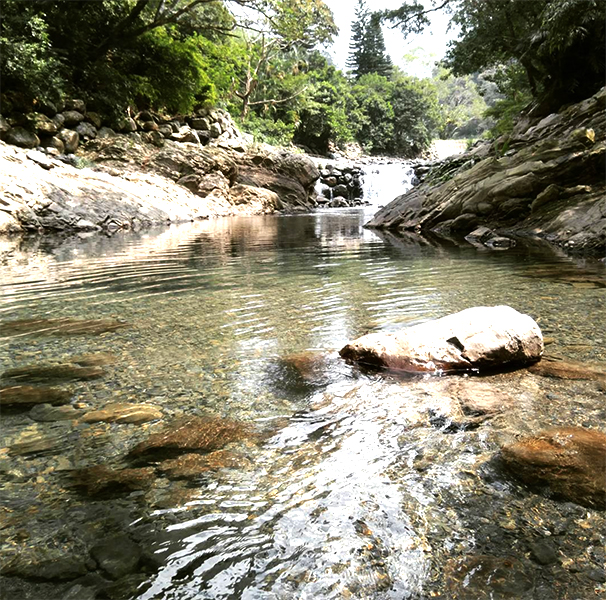 蜜蜂世界- minayeh0910.jpg