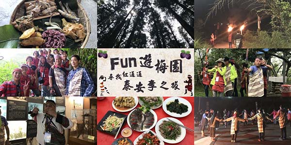 Lokah！Fun遊梅園尋找紅通通泰安李之旅 .jpg