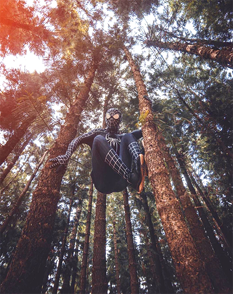 九天黑森林 - plant_hui.jpg